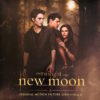 Вінілова платівка Various – OST The Twilight Saga: New Moon (Metallic Marble Vinyl)